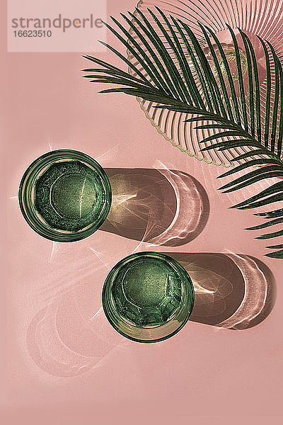Studioaufnahme von Palmenblättern  Glasschale und zwei Gläsern mit kohlensäurehaltigem Wasser