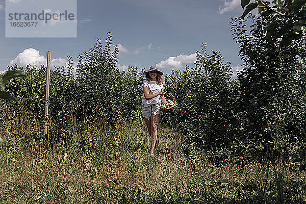 Frau hält Korb beim Spaziergang inmitten von Bäumen im Obstgarten