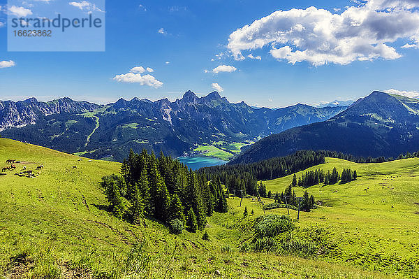 Österreich  Tirol  Grüne Landschaft des Tannheimer Tals im Sommer