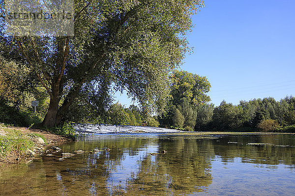 Blick auf den Fluss im Naturschutzgebiet Lippeaue bei strahlend blauem Himmel