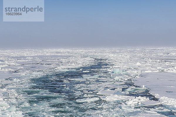 Gebrochenes Eis schwimmt im Arktischen Ozean