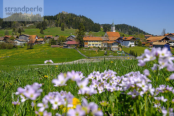 Deutschland  Bayern  Zell  Wiese vor ländlichem Dorf im Frühling