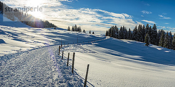 Sonnenuntergang über dem schneebedeckten Wanderweg im Kleinwalsertal