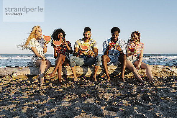 Freunde sitzen auf einem Baumstamm und essen Wassermelone am Strand an einem sonnigen Tag