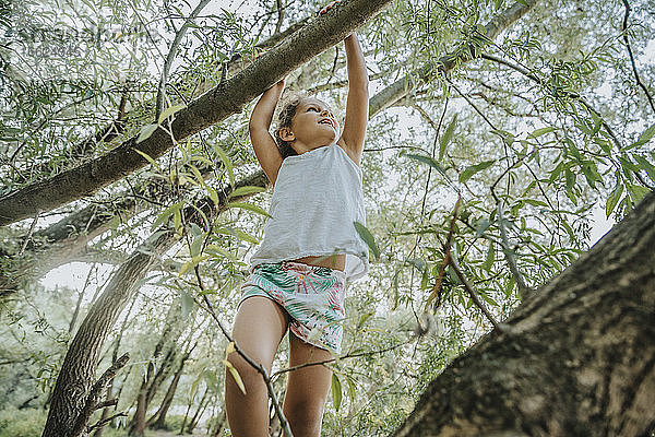 Niedriger Winkel Ansicht der niedlichen kleinen Mädchen hängen auf Weide Baum