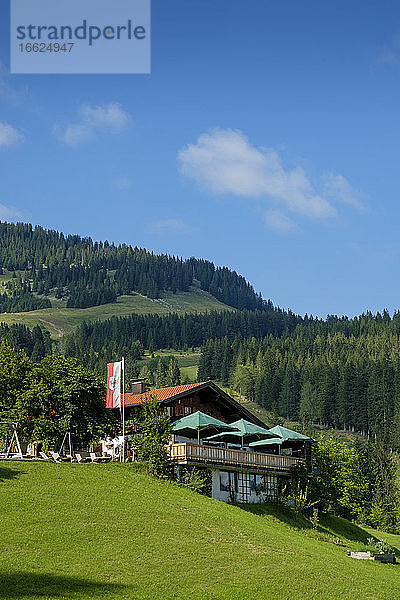 Österreich  Tirol  Gasthaus Stoana Alm im Sommer