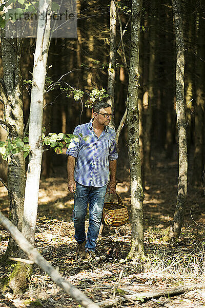 Älterer Mann  der einen Korb hält und im Wald an einem sonnigen Tag nach Pilzen sucht
