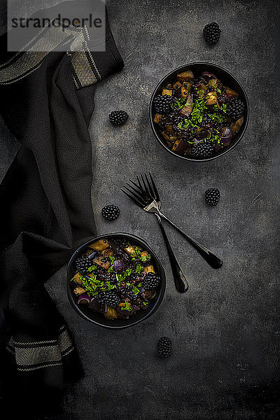 Studioaufnahme von zwei Schüsseln mit vegetarischem Salat mit Auberginen  Beluga-Linsen  spanischen Zwiebeln  Brombeeren  Vinaigrette und Petersilie