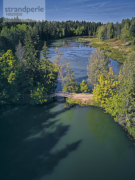 Luftaufnahme des Flusses inmitten von Herbstbäumen