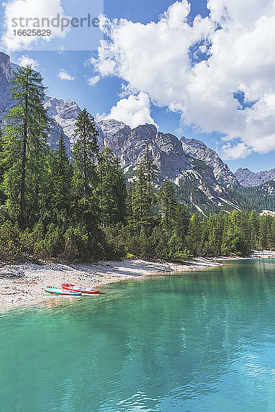 Paddelbretter am Ufer des Pragser Wildsees zwischen Bäumen an einem sonnigen Tag  Dolomiten  Südtirol  Italien