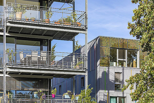 Deutschland  Baden-Württemberg  Tubingen  Moderne energieeffiziente Mehrfamilienhäuser im Stadtteil Lustnau