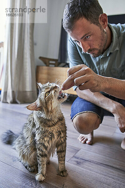 Gut aussehender Mann hockt beim Füttern einer Katze zu Hause