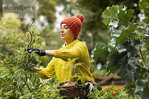 Mittlere erwachsene Frau in warmer Kleidung bei der Gartenarbeit in einem städtischen Garten stehend