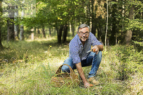 Älterer Mann sammelt Pilze im Wald