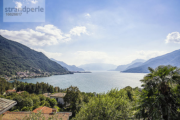 Italien  Provinz Lecco  Dorio  Ufer des Comer Sees im Sommer
