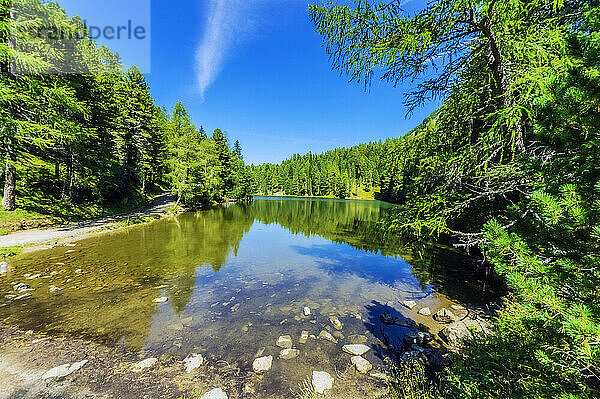 Baumbewachsener See im Wald auf der Turracher Höhe  Gurktaler Alpen  Österreich