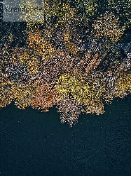 Luftaufnahme des Bethany-Teichs