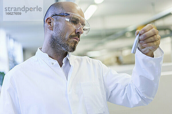 Älterer männlicher Techniker mit Schutzbrille bei der Untersuchung einer Probe in einer Fabrik