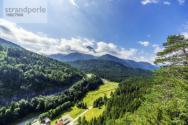 Österreich  Tirol  Reutte  Grünes bewaldetes Tal im Sommer