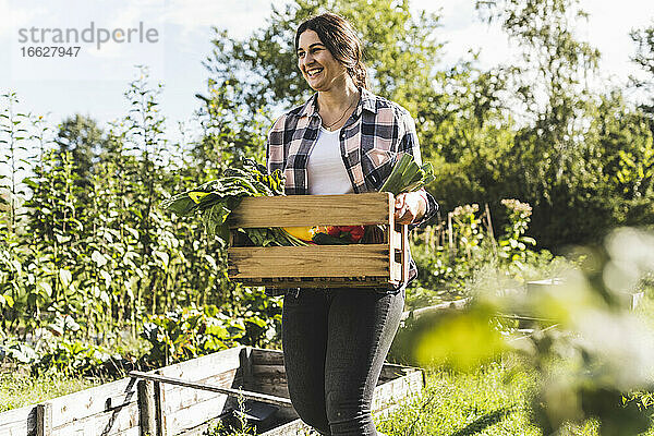 Lächelnde junge Frau trägt Gemüse in einer Holzkiste im Gemeinschaftsgarten