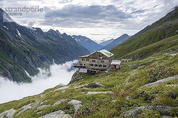 Greizer Hütte  Berliner Höhenweg  hinten Bergtal Floitengrund  Felsköpfl und Triebbachkopf  Zillertaler Alpen  Zillertal  Tirol  Österreich  Europa