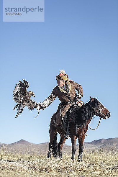 Spai Bashakan trainiert sein Adlerweibchen  Olgii  Mongolei  Asien