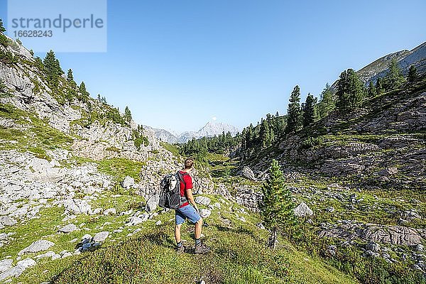 Wanderer blickt in die Ferne  hinten Gipfel des Watzmann  Wanderweg in den Funtenseetauern  Steinernes Meer  Nationalpark Berchtesgaden  Berchtesgadener Land  Oberbayern  Bayern  Deutschland  Europa