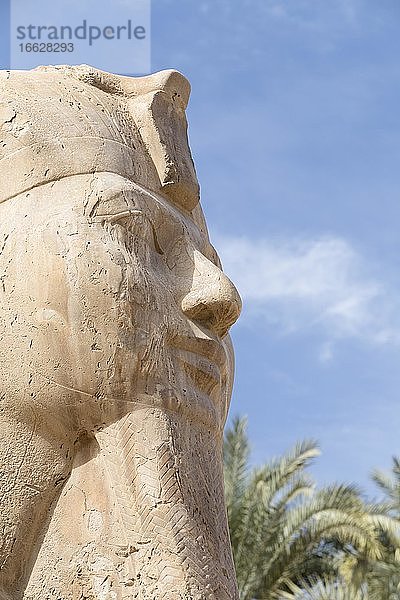 Die Memphis Sphinx  Detail  1550-1069 v. Chr. Um  Detail  ägyptischer Alabaster  Mit Rahina Museum  Memphis  Ägypten  Afrika