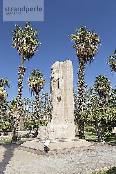 Statue von Ramses II.  1279-1213 v. Chr. Um  roter Granit  Mit Rahina Museum  Memphis  Ägypten  Afrika