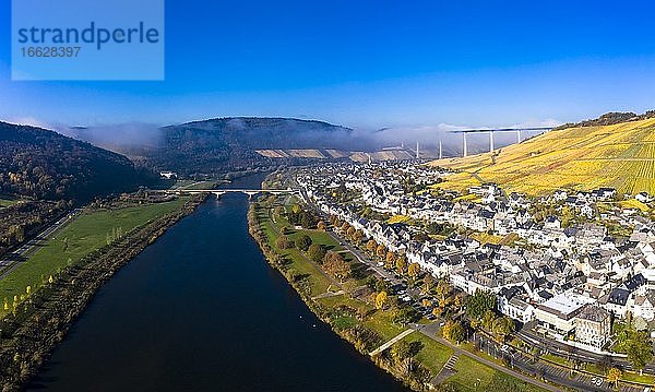 Luftaufnahme  Hochmoselbrücke über Fluss Mosel  Weinberge im herbst  Zeltingen  Rachtig  Rheinland-Pfalz  Deutschland  Europa