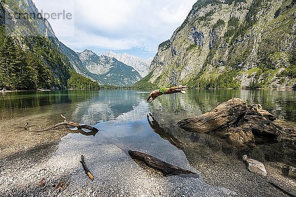 Junger Mann springt in See  badet in Bergsee  Berge spiegeln sich im Obersee  hinten Watzmann  Salet am Königssee  Nationalpark Berchtesgaden  Berchtesgadener Land  Oberbayern  Bayern  Deutschland  Europa