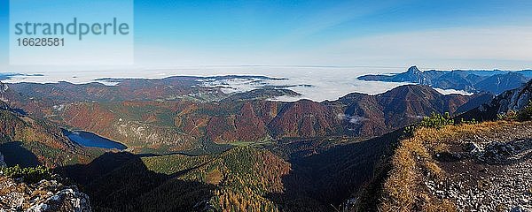 Höllengebirge mit Traunstein und herbstlich gefärbte Wälder  Panoramaufnahme  Salzkammergut  Oberösterreich  Österreich  Europa