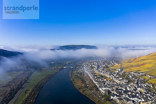 Luftaufnahme  Hochmoselbrücke über Fluss Mosel  Weinberge im herbst  Zeltingen  Rachtig  Rheinland-Pfalz  Deutschland  Europa