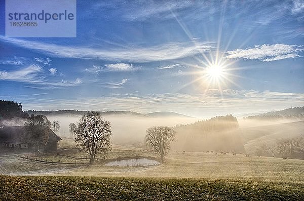Nebelstimmung im morgendlichen Einsiedel  Bauernhof mit Brandweiher  Einsiedel  Breitnau  Hochschwarzwald  Baden-Württemberg  Deutschland  Europa