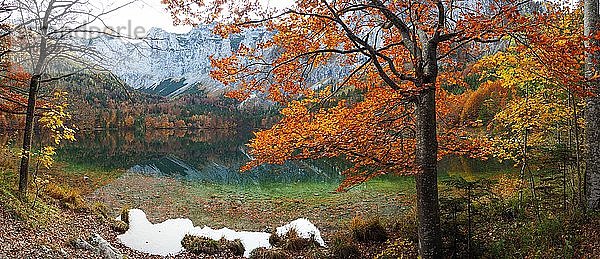 Herbstlich gefärbter Mischwald  Vorderer Langbathsee  Panoramaaufnahme  Salzkammergut  Oberösterreich  Österreich  Europa