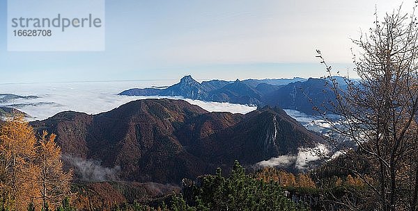 Höllengebirge mit Traunstein und herbstlich gefärbte Wälder  Panoramaufnahme  Salzkammergut  Oberösterreich  Österreich  Europa