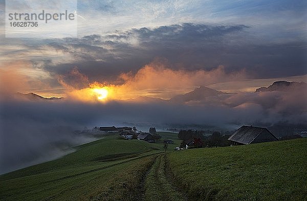 Sonnenaufgang mit Morgennebel im Mondseeland  Mondsee  Salzkammergut  Oberösterreich  Österreich  Europa