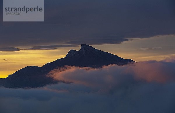 Sonnenaufgang mit Morgennebel und Schafberg  Mondseeland  Mondsee  Salzkammergut  Oberösterreich  Österreich  Europa
