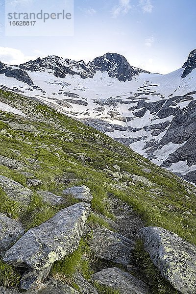 Wanderweg  Berliner Höhenweg  hinten Gletscher Floitenkees und Gipfel der Floitenspitzen  Felsköpfl und Triebbachkopf  Zillertaler Alpen  Zillertal  Tirol  Österreich  Europa