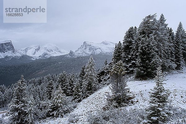 Winterlandschaft in den Bergen der Dolomiten  bei Cortina d'Ampezzo  Alpen  Venetien  Italien  Europa