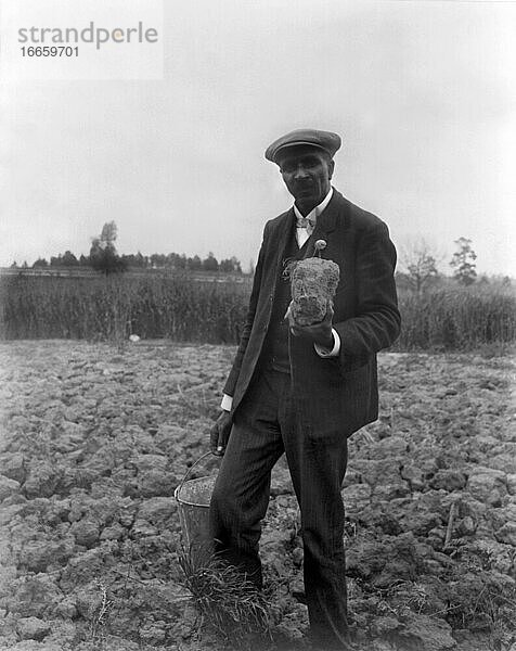 Tuskegee  Alabama  1906
George Washington Carver steht auf einem Feld und hält ein Stück Erde in der Hand.