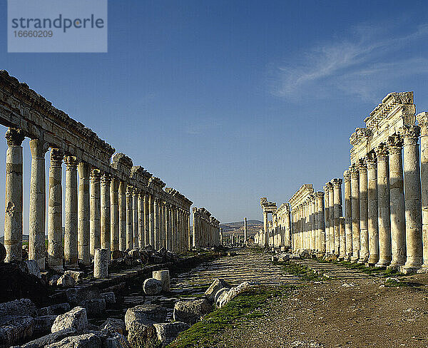 Syrien. Apamea. Antike griechische und römische Stadt. Große Kolonnade und cardo maximus.