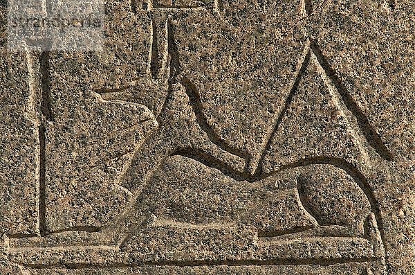 Ägyptische Kunst. Gott Anubis. Relief. Mit Rahina Open Air Museum. Memphis. Ägypten.