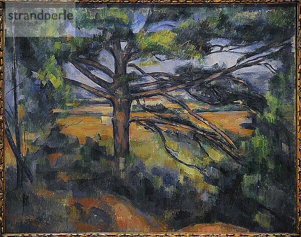 Paul Cézanne (1839-1906). Französischer Maler. Große Kiefer bei Aix  ca. 1895-1897. Öl auf Leinwand. Staatliches Eremitage-Museum. Sankt Petersburg. Russland.