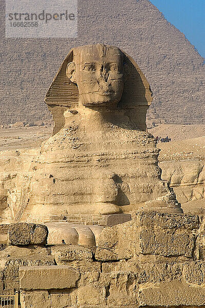 Ägypten. Große Sphinx von Gizeh. Kalksteinstatue mit Löwenkörper und menschlichem Kopf. Es wird angenommen  dass sie den Pharao Khafra darstellt. Errichtet als Schutzwächter am Ufer des Nils. Altes Reich. Ungefähr 2500 v. Chr. 4. Dynastie.