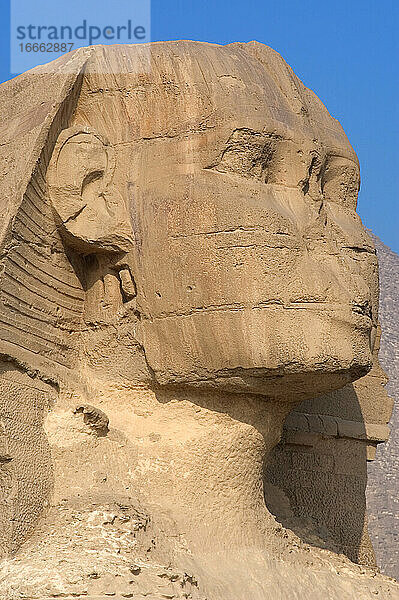 Ägypten. Große Sphinx von Gizeh. Kalksteinstatue mit Löwenkörper und menschlichem Kopf. Es wird angenommen  dass sie den Pharao Khafra darstellt. Errichtet als Schutzwächter am Ufer des Nils. Altes Reich. Ungefähr 2500 v. Chr. 4. Dynastie.