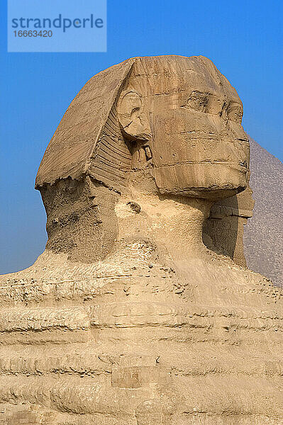 Ägypten. Große Sphinx von Gizeh. Kalksteinstatue mit Löwenkörper und menschlichem Kopf. Es wird angenommen  dass sie den Pharao Khafra darstellt. Errichtet als Schutzwächter am Ufer des Nils. Altes Reich. Ungefähr 2500 v. Chr. 4. Dynastie.