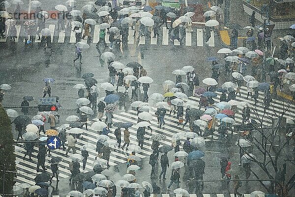 Menschen überqueren eine Kreuzung an einem regnerischen Tag in Tokio  Japan