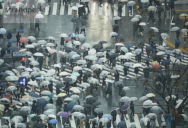 Menschen überqueren eine Kreuzung an einem regnerischen Tag in Tokio  Japan