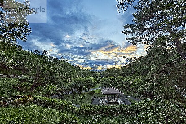 Naturpark am Abend